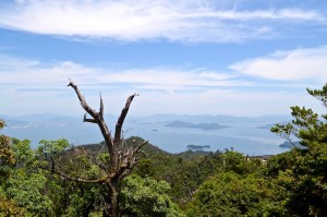 Miyajima