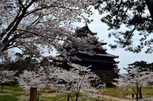 Matsue Castle